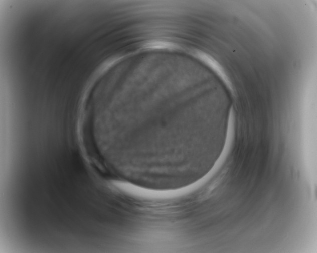 X0000088141330200706041330