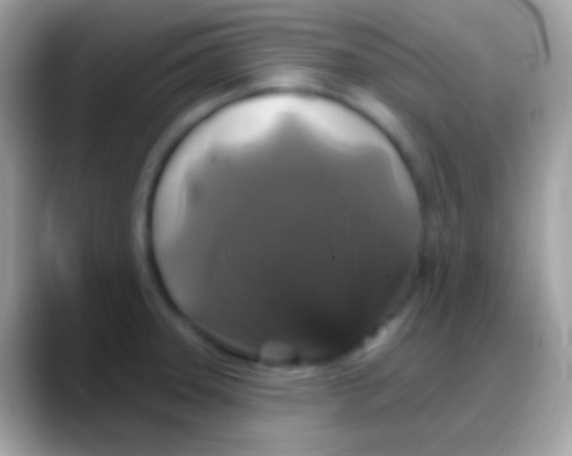 X0000088141331200706041330