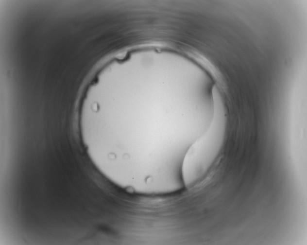 X0000088141332200706041330