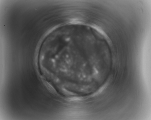 X0000088141333200706041330