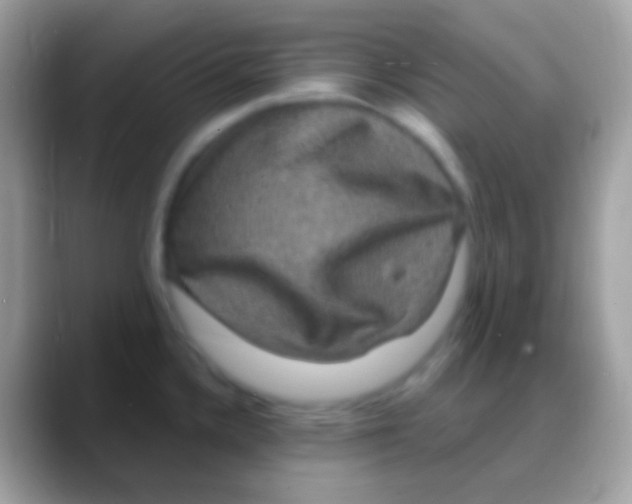 X0000088141336200706041330