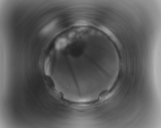 X0000088141337200706041330