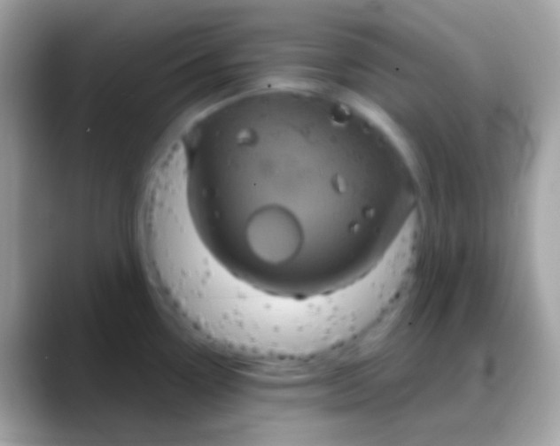 X0000088141338200706041330