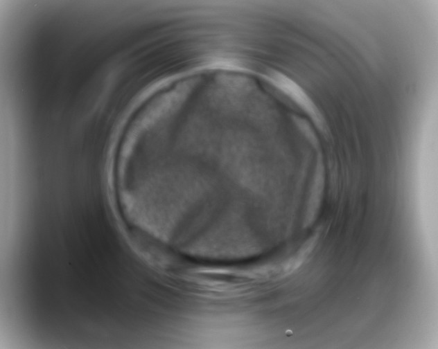 X0000088141339200706041330