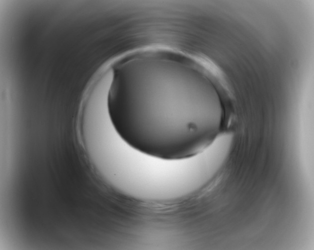 X0000088141340200706041330