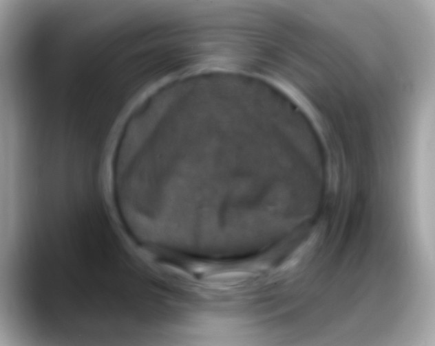 X0000088141341200706041330