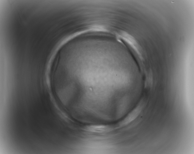 X0000088141342200706041330