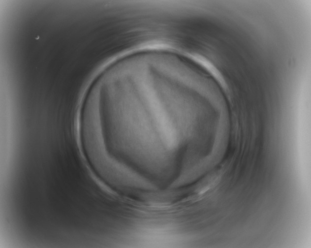 X0000088141343200706041330