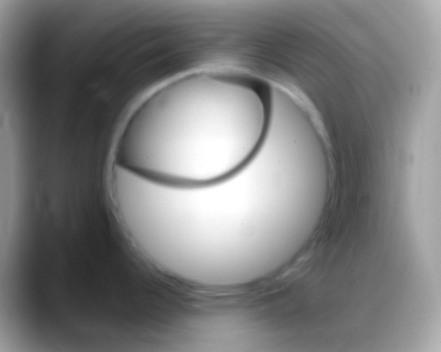 X0000088141344200706041330