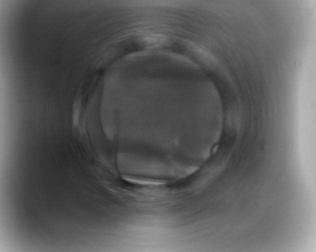 X0000088141346200706041330