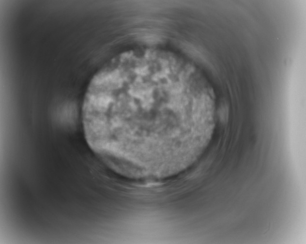 X0000088141347200706041330