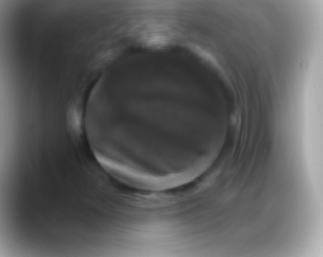 X0000088141348200706041330