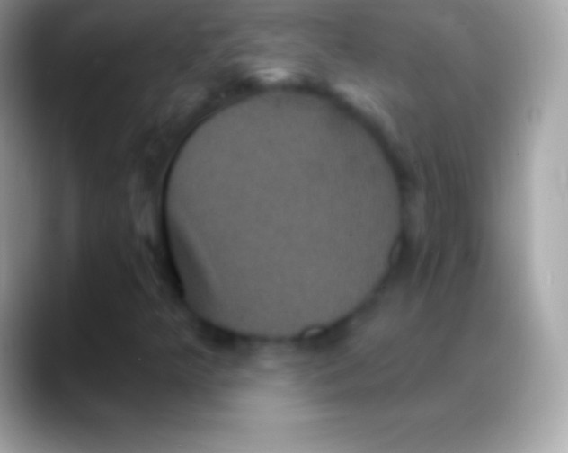 X0000088141349200706041330