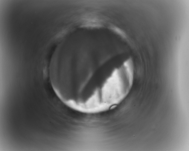 X0000088141350200706041329