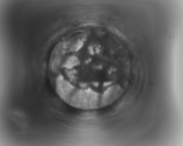 X0000088141351200706041329