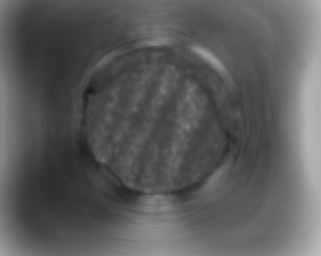 X0000088141352200706041329