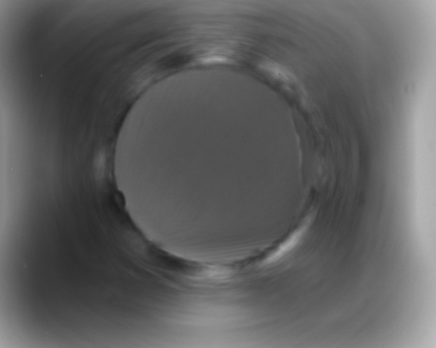 X0000088141353200706041329