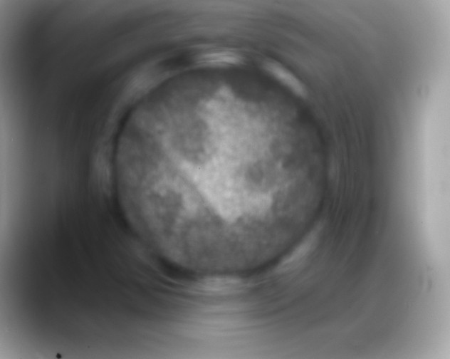 X0000088141354200706041329