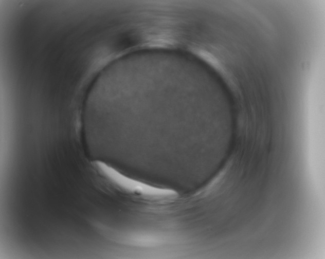 X0000088141355200706041329