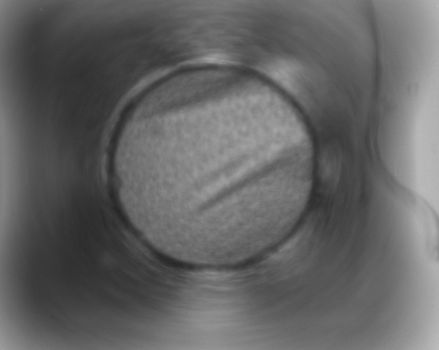 X0000088141356200706041329