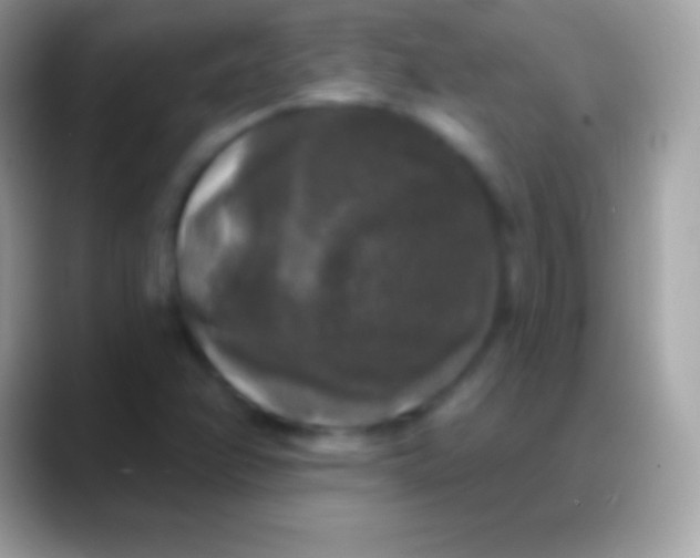 X0000088141358200706041329