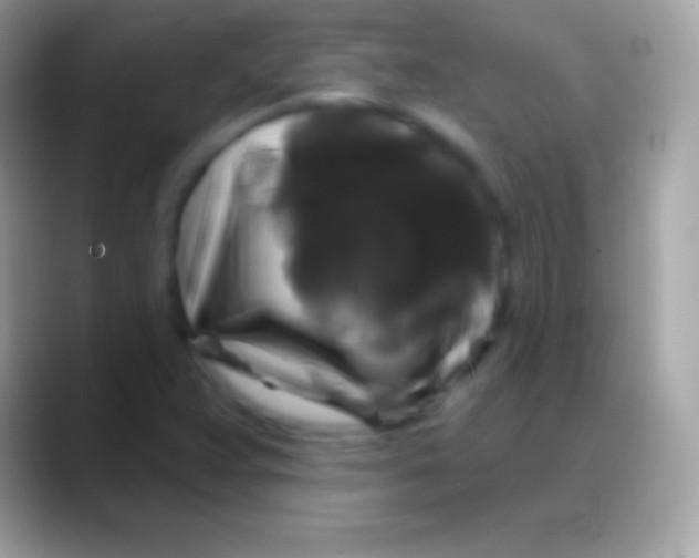 X0000088141359200706041329