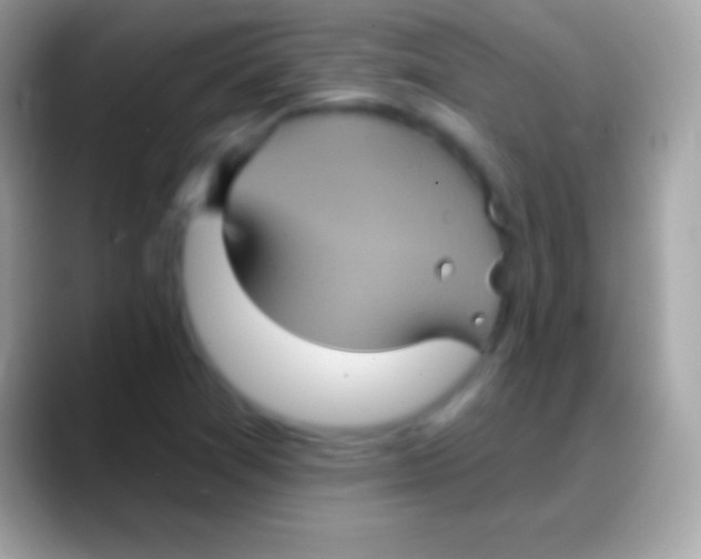 X0000088141361200706041329