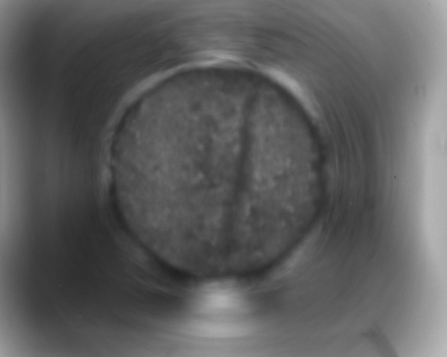 X0000088141363200706041329