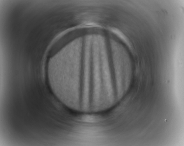 X0000088141364200706041329