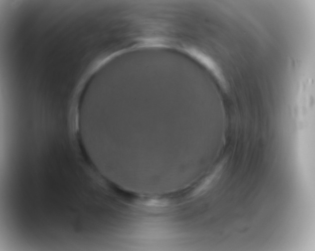 X0000088141365200706041329