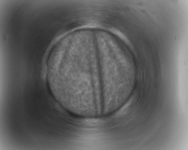 X0000088141366200706041329