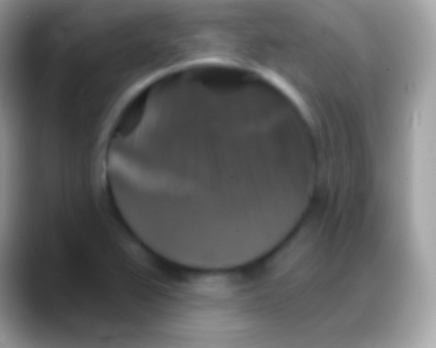 X0000088141367200706041329