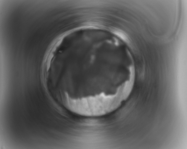 X0000088141371200706041329