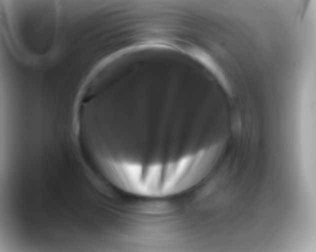 X0000088141372200706041329