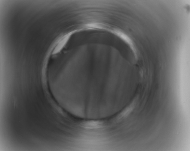 X0000088141373200706041329