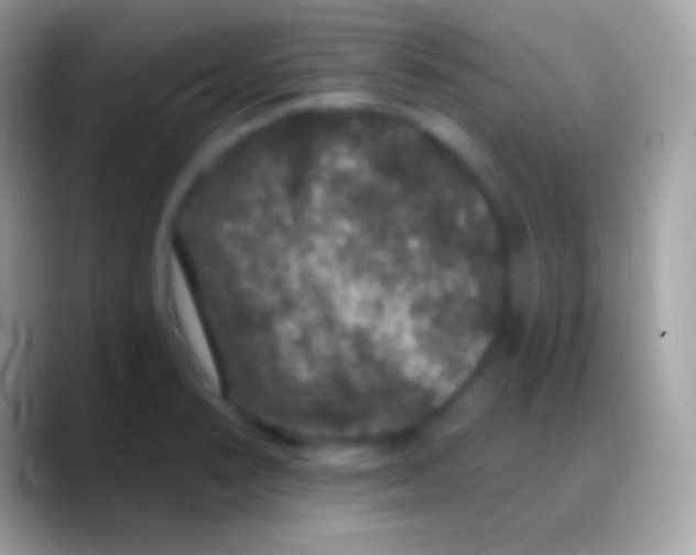 X0000088141374200706041329