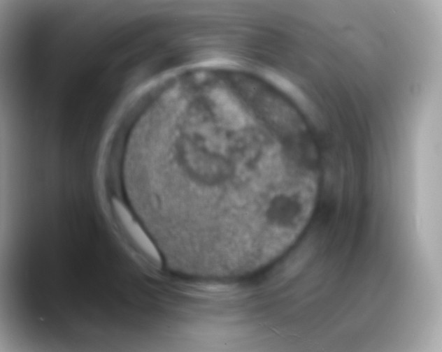 X0000088141375200706041329