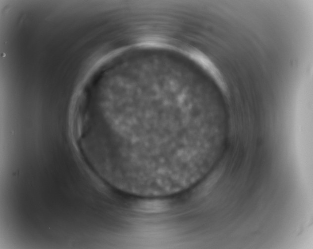 X0000088141376200706041329