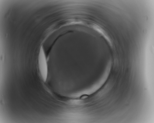 X0000088141377200706041329