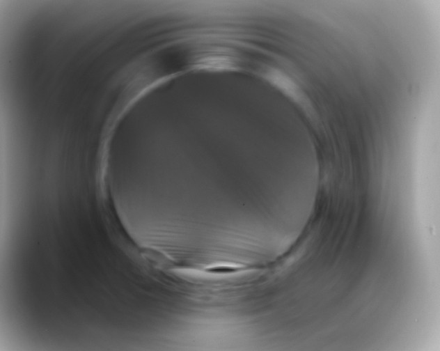 X0000088141378200706041329