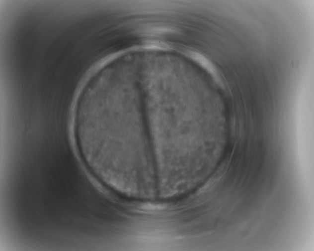 X0000088141379200706041329