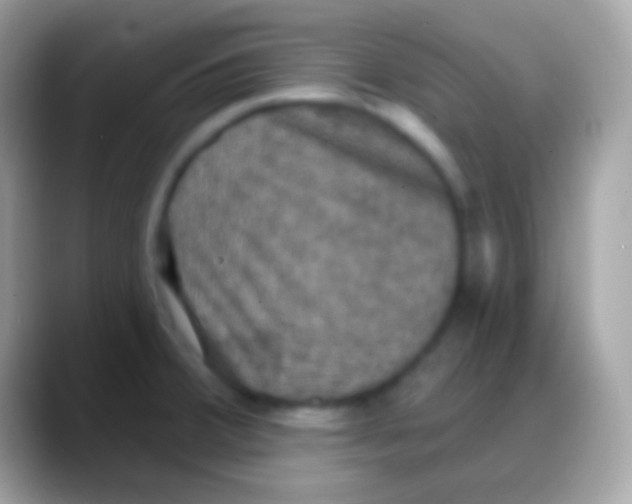 X0000088141380200706041329