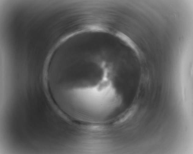 X0000088141381200706041329