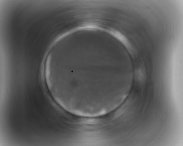 X0000088141382200706041329