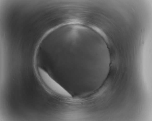 X0000088141383200706041329