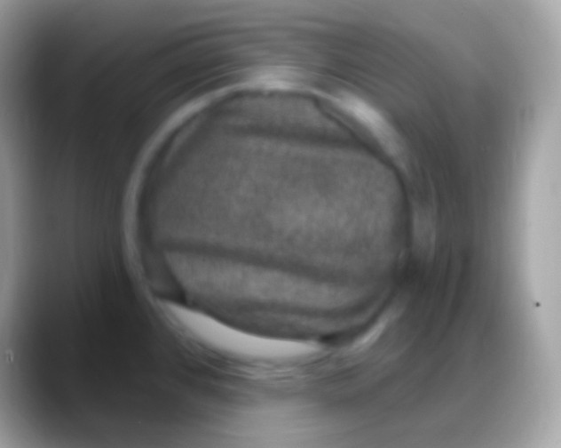 X0000088141384200706041329