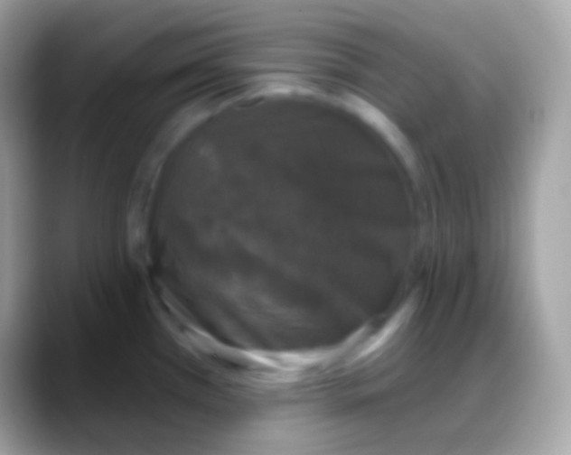 X0000088141385200706041329