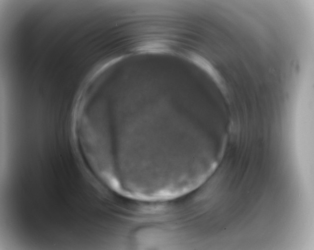 X0000088141386200706041329