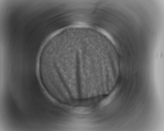 X0000088141387200706041329