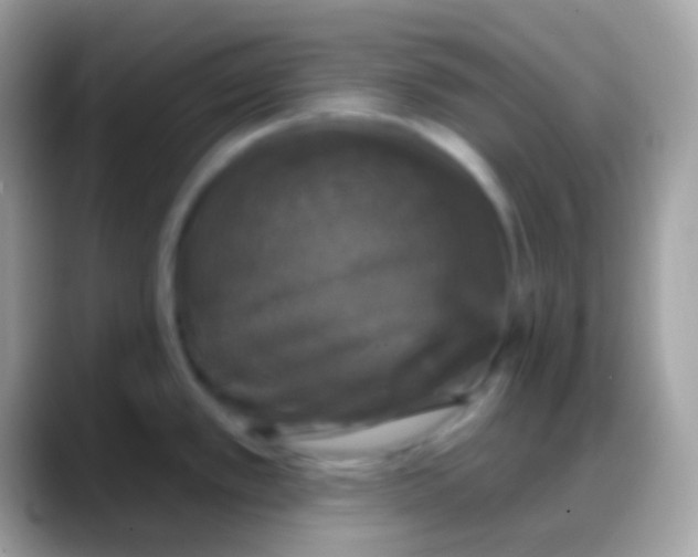 X0000088141389200706041329